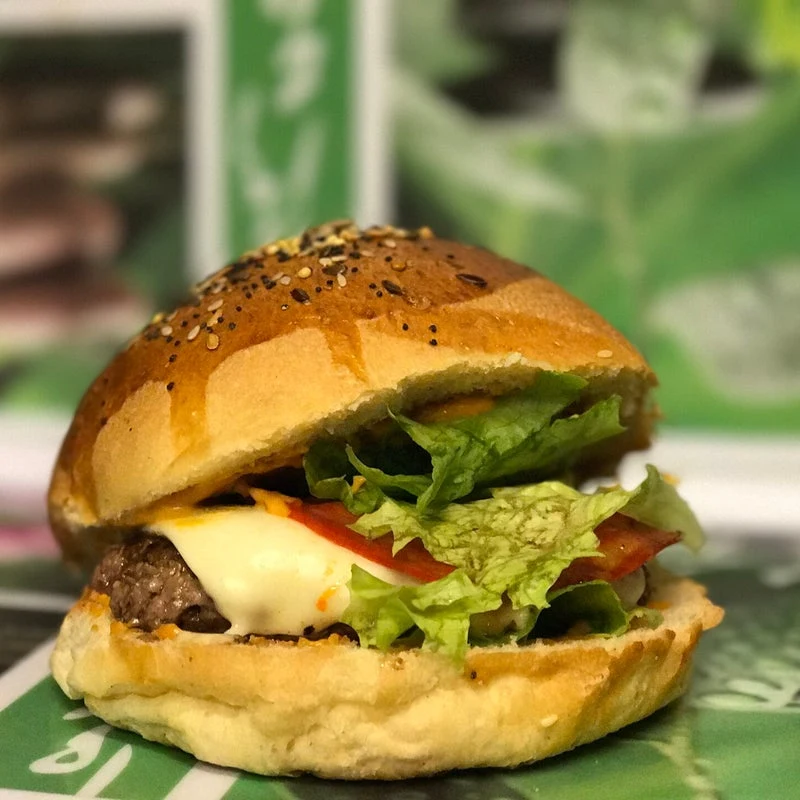 Jo Burger